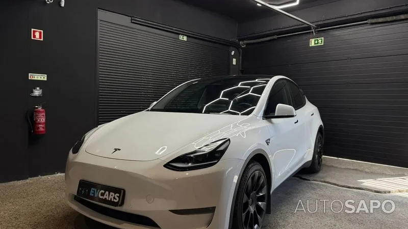 Tesla and the Roadster: What We Know...So Far